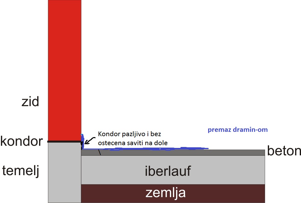 Tm Tavanica