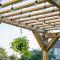 pergol__2.jpg