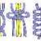 square%20knot%20picot[1].jpg