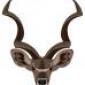 kudu's picture