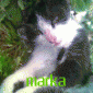 marka's picture