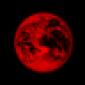 z81's picture