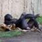ZoGo59's picture