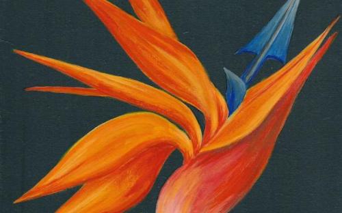 exotic_flower2.jpg