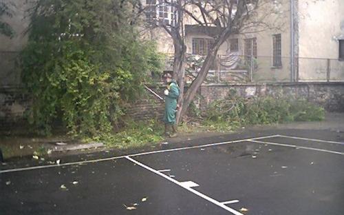 oct06110.jpg
