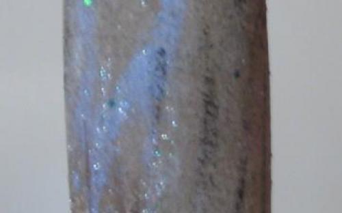 p2_0.jpg