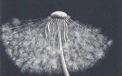 scan0003a_resize.jpg