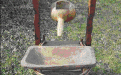 001.gif