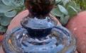 2008017_edited.jpg