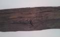 dsc00196.jpg