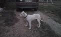 dsc00211.jpg