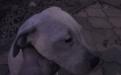 dsc00374.jpg