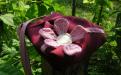 dscn8246.jpg