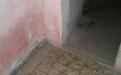 sany0447.jpg