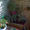 0704_063705.jpg