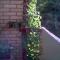 0704_063709.jpg