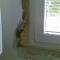 07082010_001.jpg