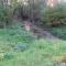 100_7446.jpg
