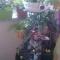 2013-07-05-693.jpg