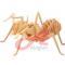 3d_puzzle_insect__wooden_toy.jpg