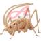3d_puzzle_insect__wooden_toy (2).jpg