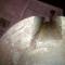 dsc00352_1024x768.jpg