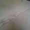 dsc00608.jpg