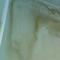 dsc01295.jpg