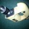 dsc01590.jpg