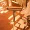 dsc03480.jpg