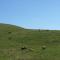 dscf2961.jpg