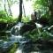 dscf3703.jpg