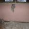 dscf3781.jpg