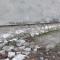 dscf3783.jpg