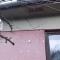 dscf3786.jpg