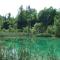 dscf3803.jpg