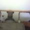 imag0115.jpg
