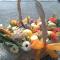 image365.jpg