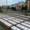 lmt_tavanica_10m_2.jpg