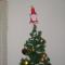 p1010026.jpg