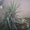pict0004.jpg