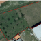 plac1.png