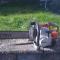 stihl0801.jpg