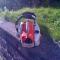 stihl0802.jpg