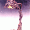 zl-05.gif