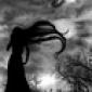 morticia's picture