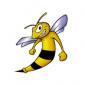 srle69's picture